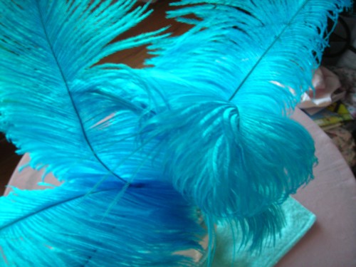 love these turquoise feathers!!